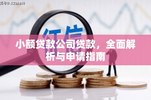 藁城小额贷款公司贷款，全面解析与申请指南