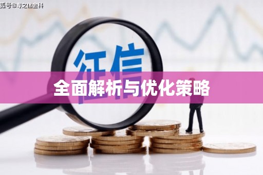 藁城全面解析与优化策略