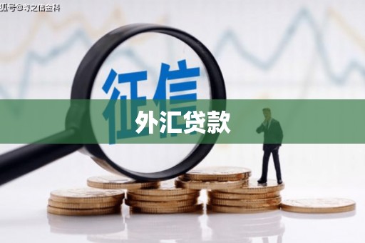 藁城外汇贷款