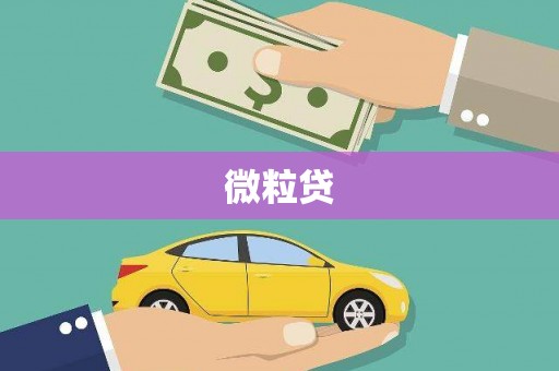 藁城微粒贷