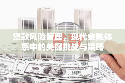 藁城贷款风险管理，现代金融体系中的关键挑战与策略