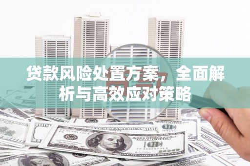 藁城贷款风险处置方案，全面解析与高效应对策略