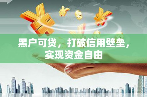 藁城黑户可贷，打破信用壁垒，实现资金自由