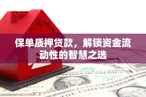藁城保单质押贷款，解锁资金流动性的智慧之选