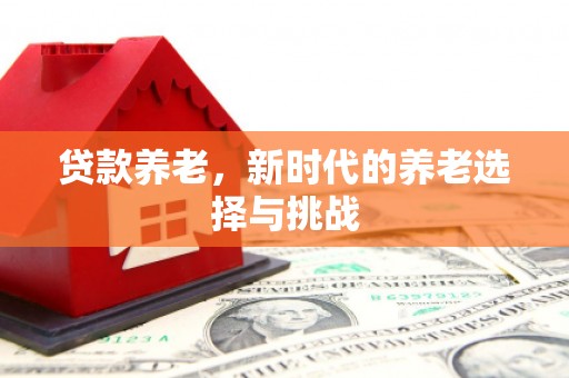 藁城贷款养老，新时代的养老选择与挑战