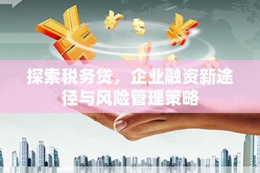 藁城探索税务贷，企业融资新途径与风险管理策略