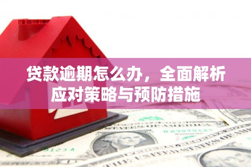 藁城贷款逾期怎么办，全面解析应对策略与预防措施