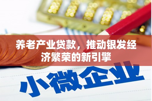 藁城养老产业贷款，推动银发经济繁荣的新引擎