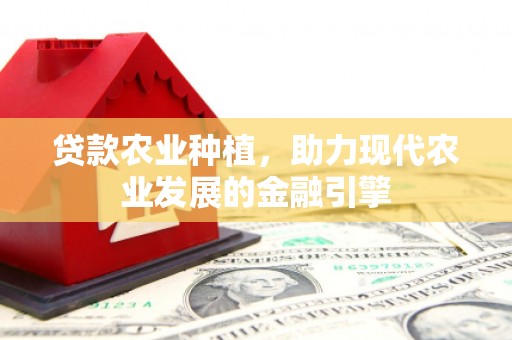 藁城贷款农业种植，助力现代农业发展的金融引擎