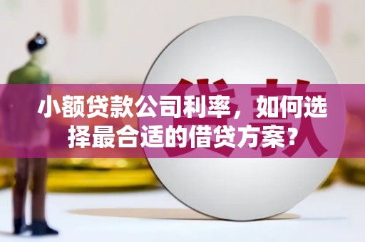 藁城小额贷款公司利率，如何选择最合适的借贷方案？