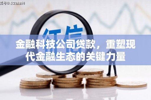 藁城金融科技公司贷款，重塑现代金融生态的关键力量