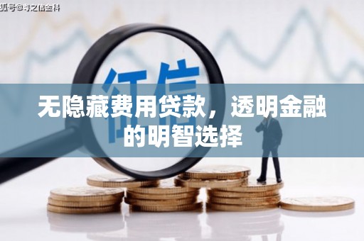 藁城无隐藏费用贷款，透明金融的明智选择