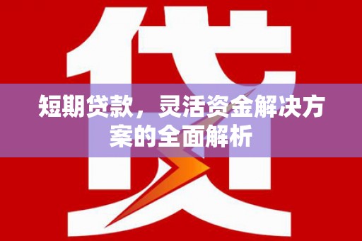 藁城短期贷款，灵活资金解决方案的全面解析