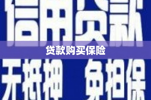 藁城贷款购买保险