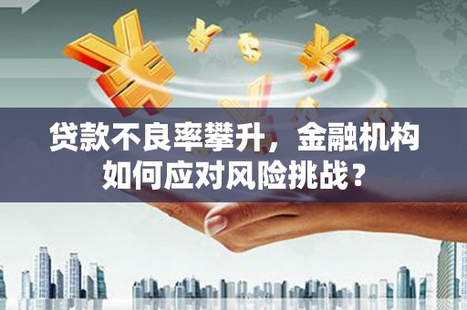藁城贷款不良率攀升，金融机构如何应对风险挑战？